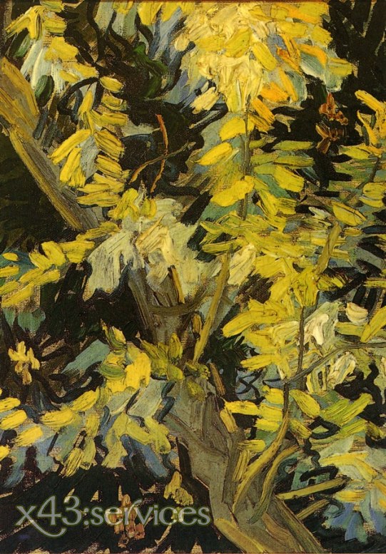 Vincent van Gogh - Blühende Akazienzweige - zum Schließen ins Bild klicken
